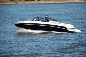 Barci AUSTER
